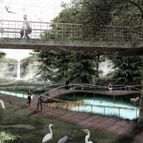 Ground Level Lake View